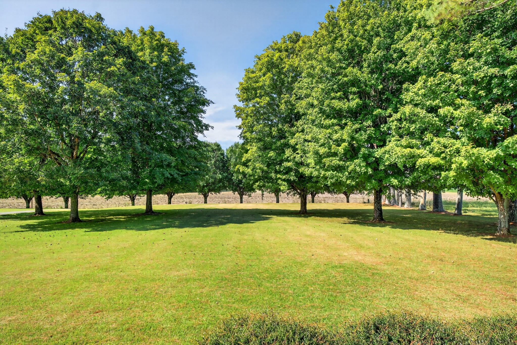 598 Old Huntsville Road Fayetteville, TN 37334 - Photo 45 of 48 Gallery Image 45