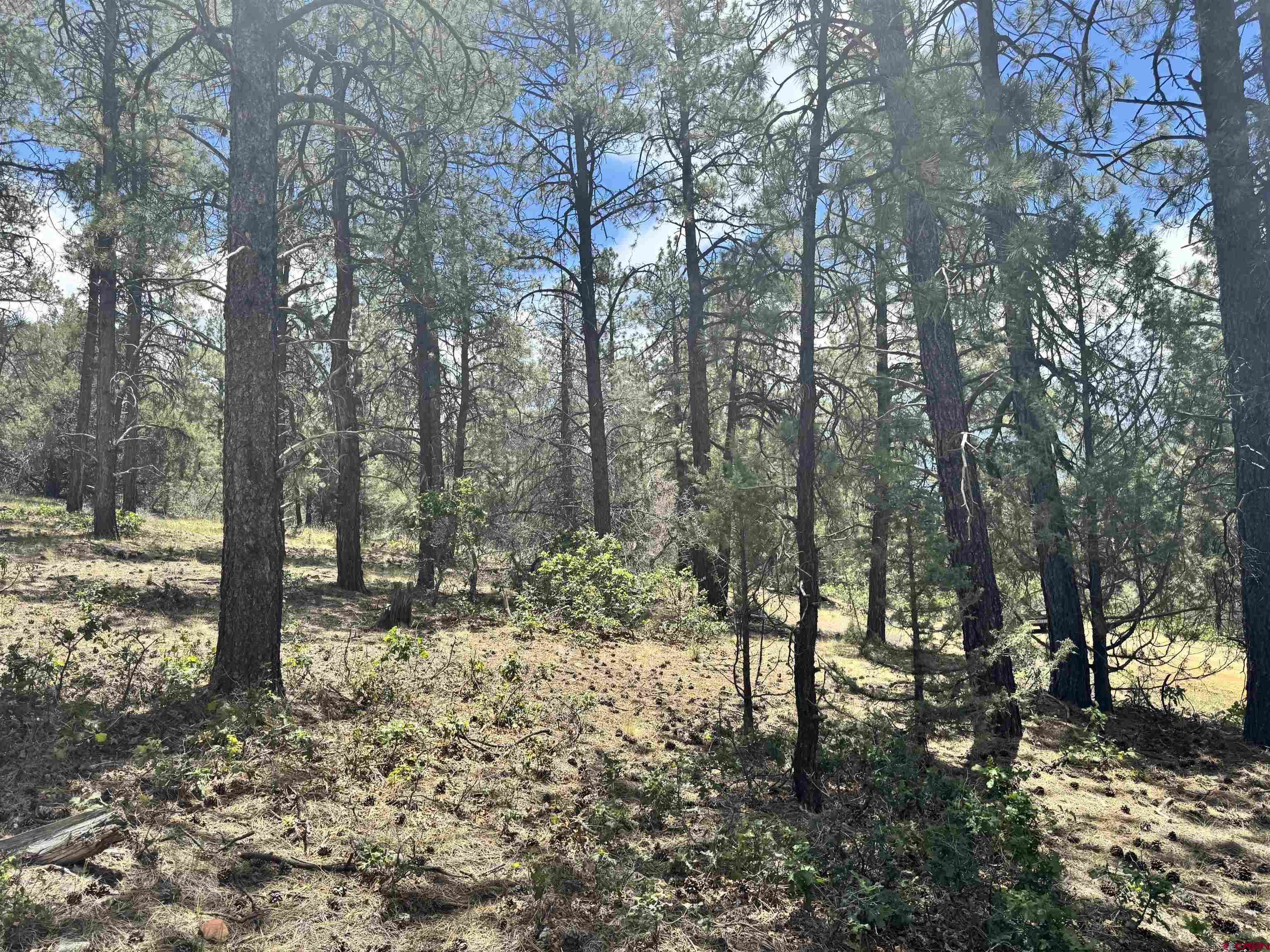 1259 Westview Road Pagosa Springs, CO 81147 - Photo 21 of 29