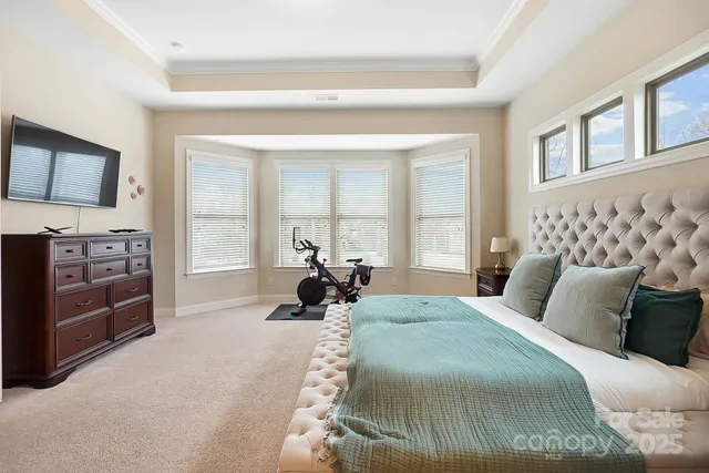 a bed room with a bed and a television