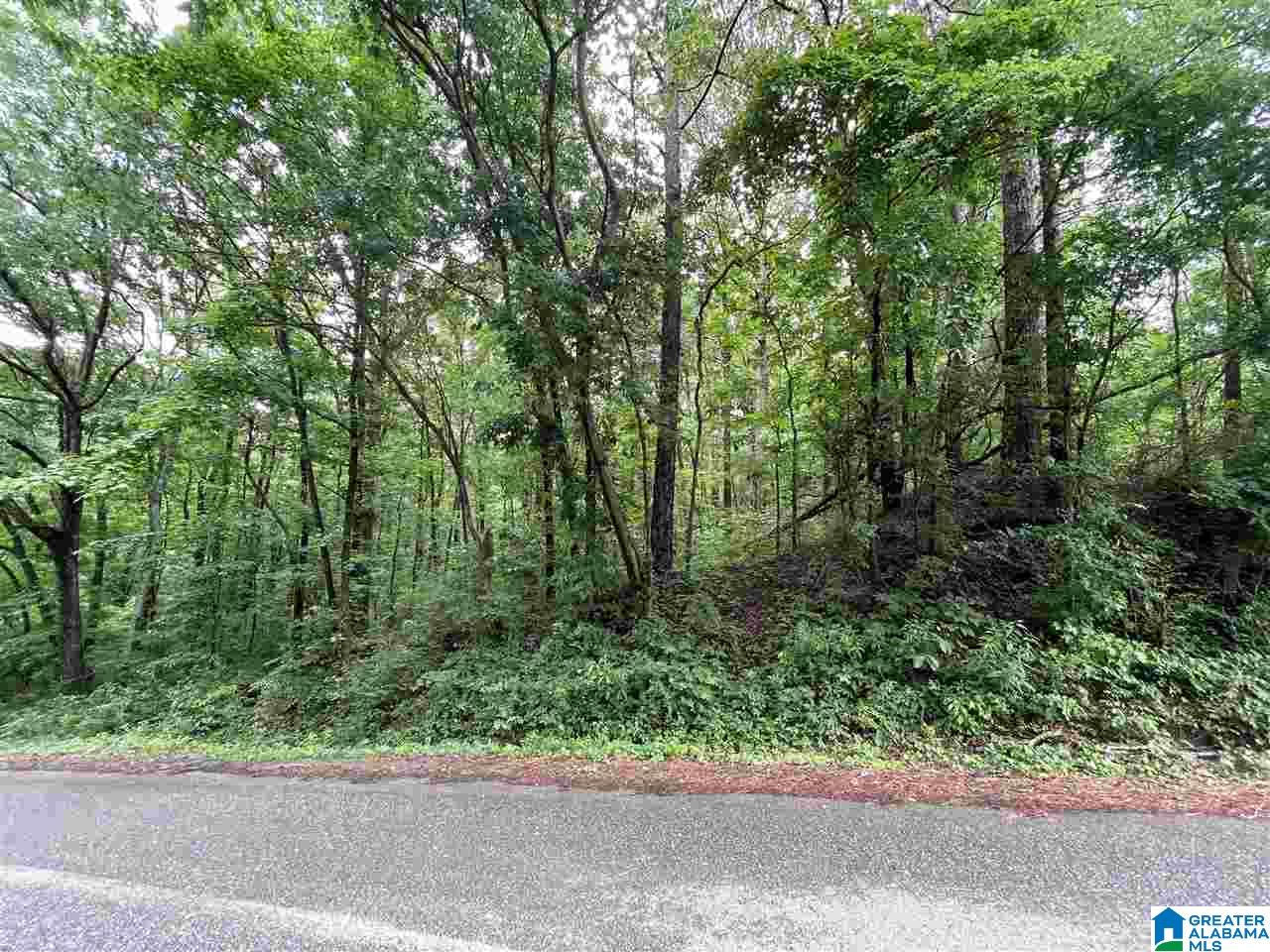 0 14th Street, Unit 15 Calera, AL 35040 - Photo 1 of 2