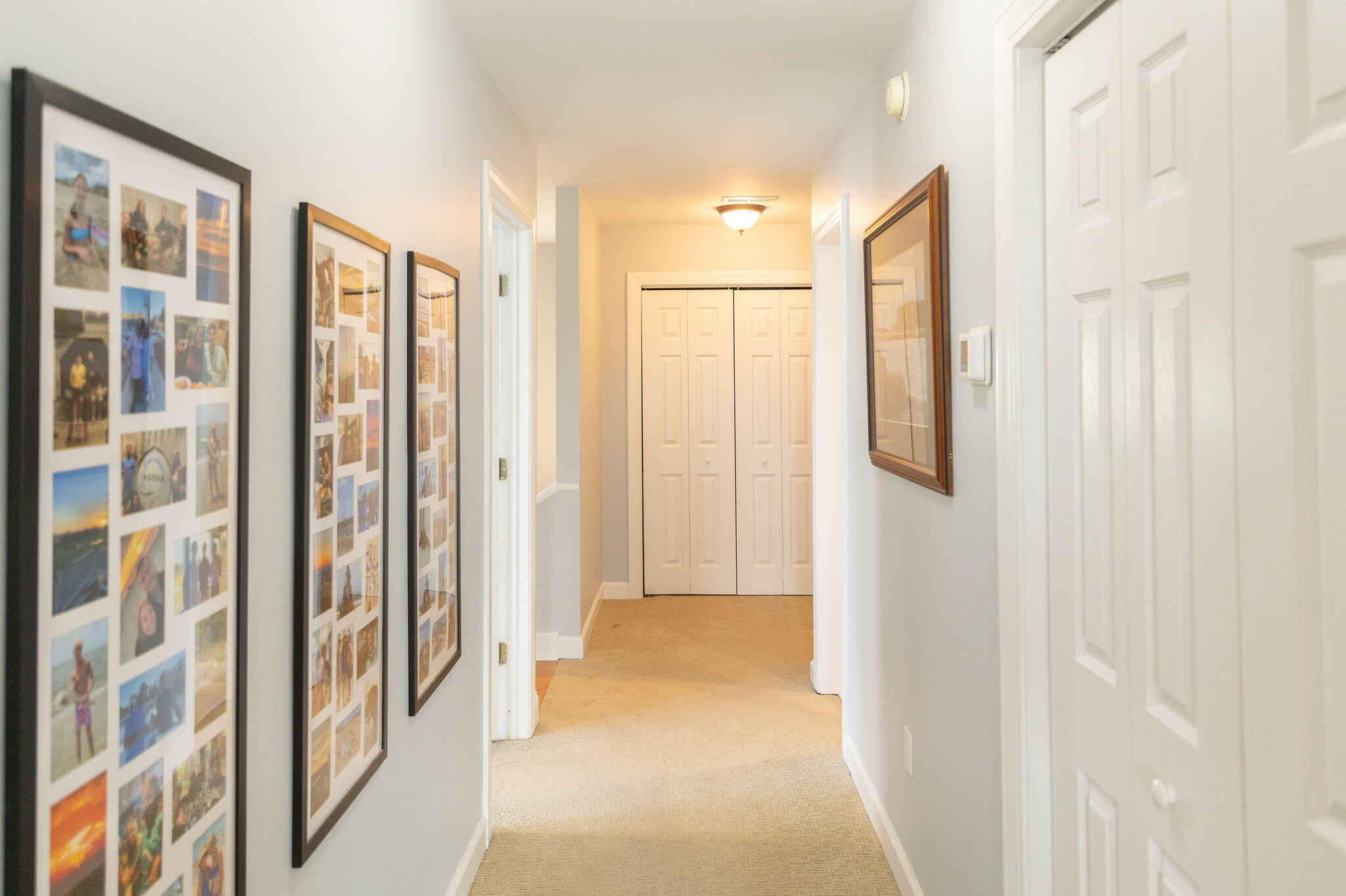 9 Battery Park Road Edisto Island, SC 29438 - Photo 46 of 82 4T4A4098