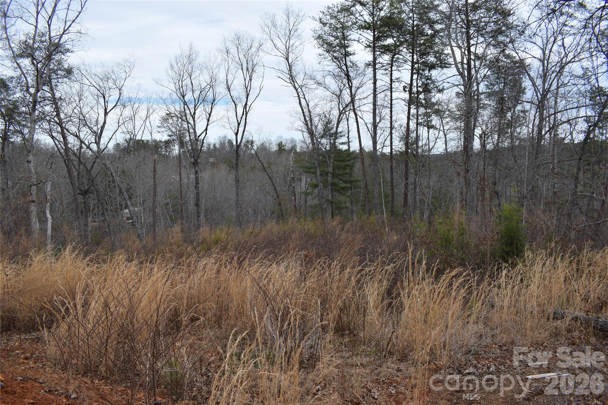 172 Winter Lane Mill Spring, NC 28756 - Photo 11 of 20 a view of lake with a yard