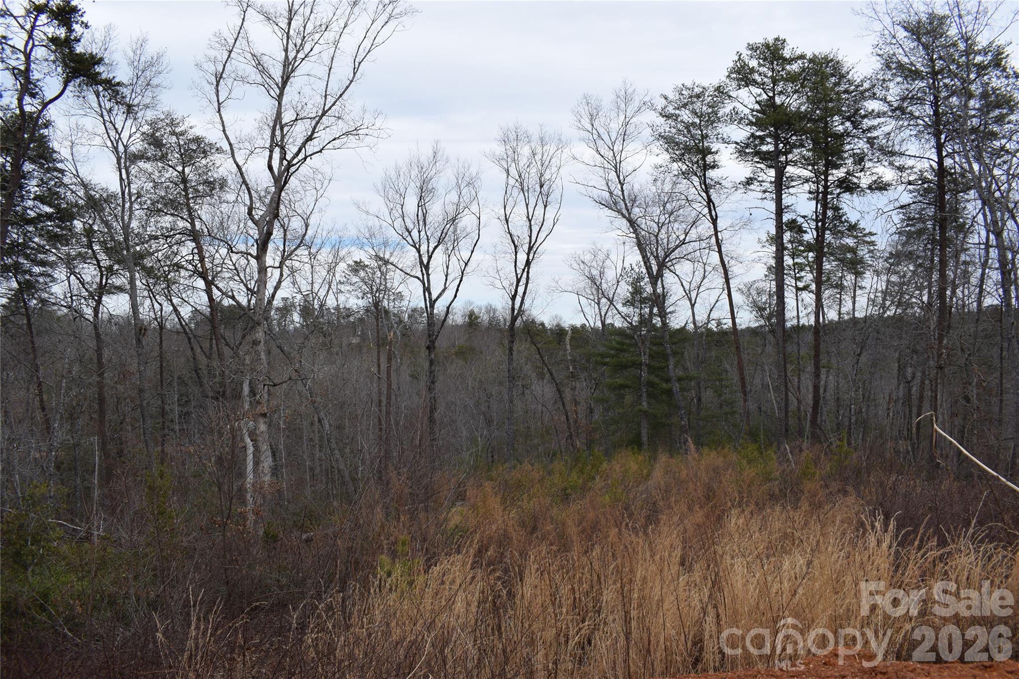 172 Winter Lane Mill Spring, NC 28756 - Photo 12 of 20 a view of outdoor space and yard