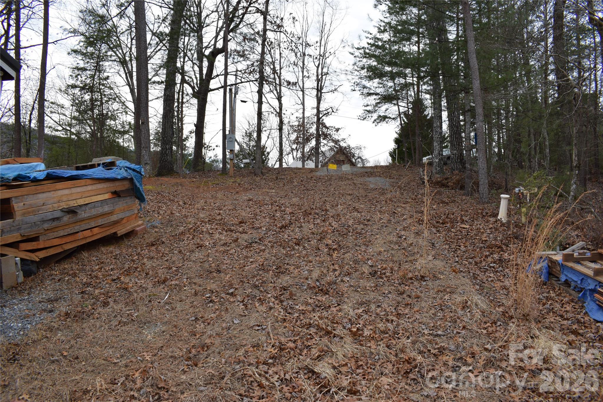 172 Winter Lane Mill Spring, NC 28756 - Photo 13 of 20 a view of backyard with trees