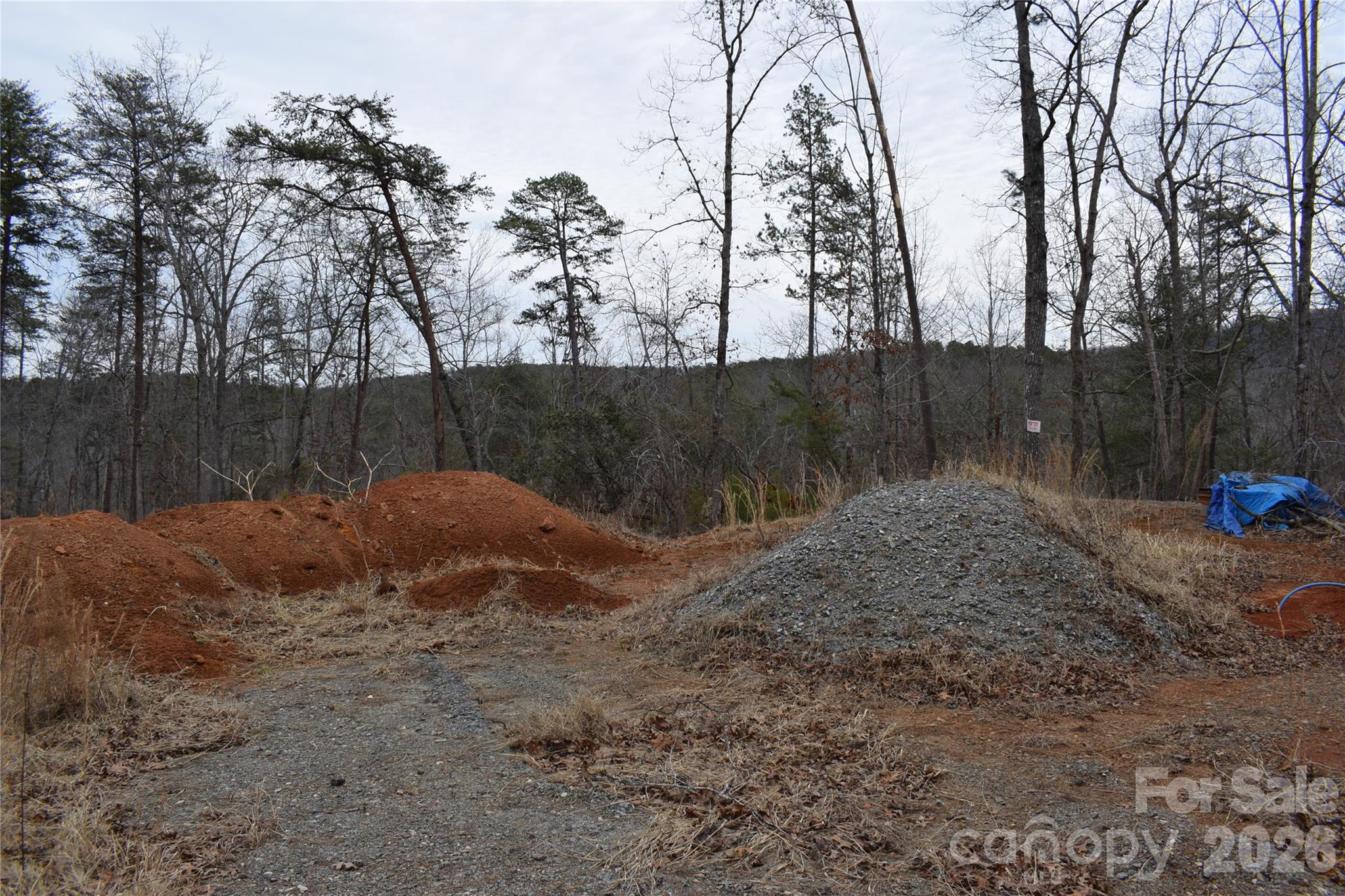172 Winter Lane Mill Spring, NC 28756 - Photo 14 of 20 a backyard of a house with lots of green space