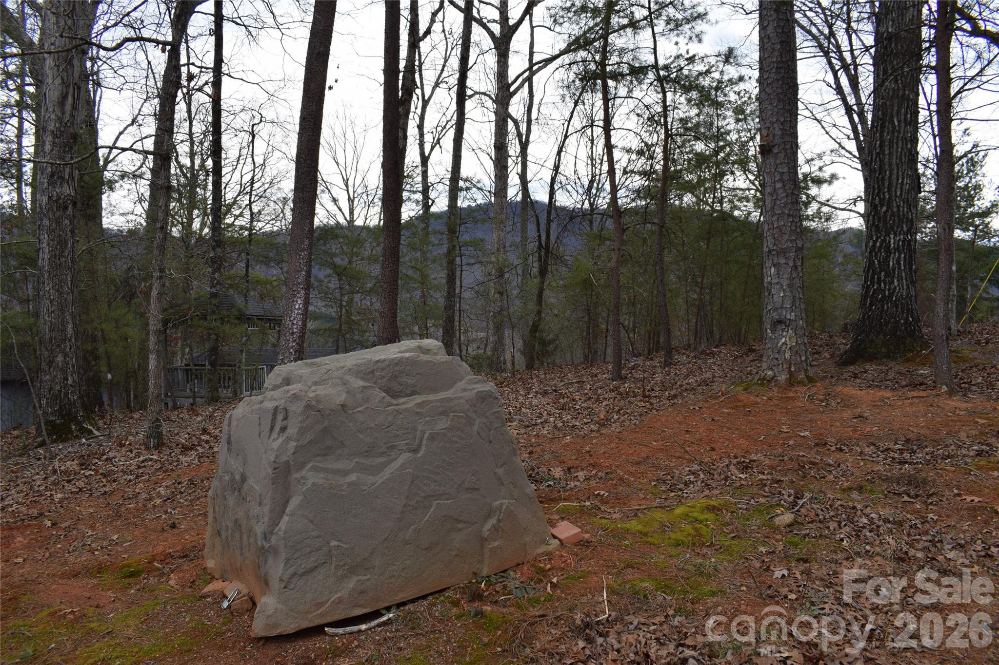 172 Winter Lane Mill Spring, NC 28756 - Photo 15 of 20 a view of a backyard with trees
