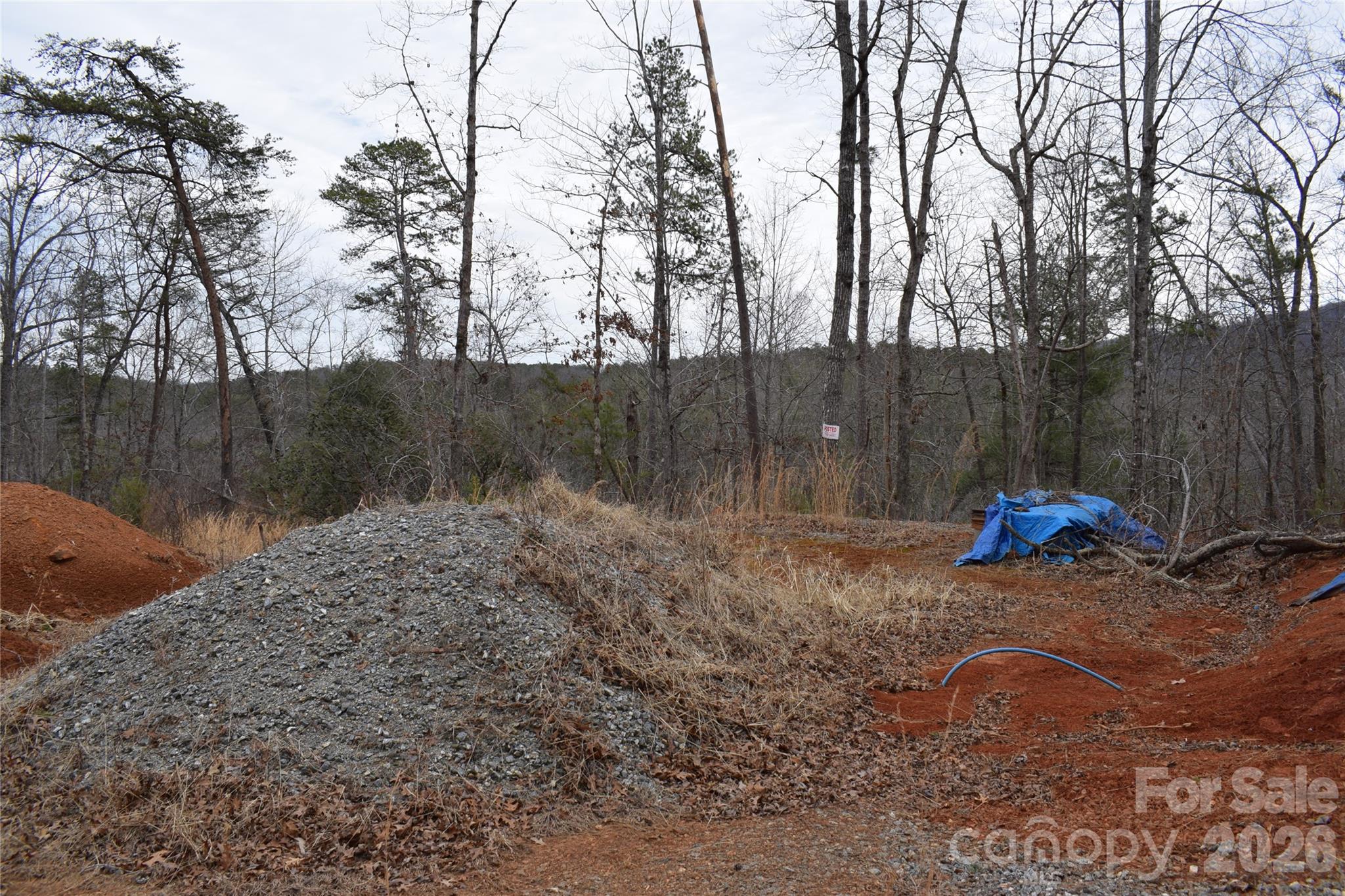 172 Winter Lane Mill Spring, NC 28756 - Photo 17 of 20 a view of outdoor space and yard