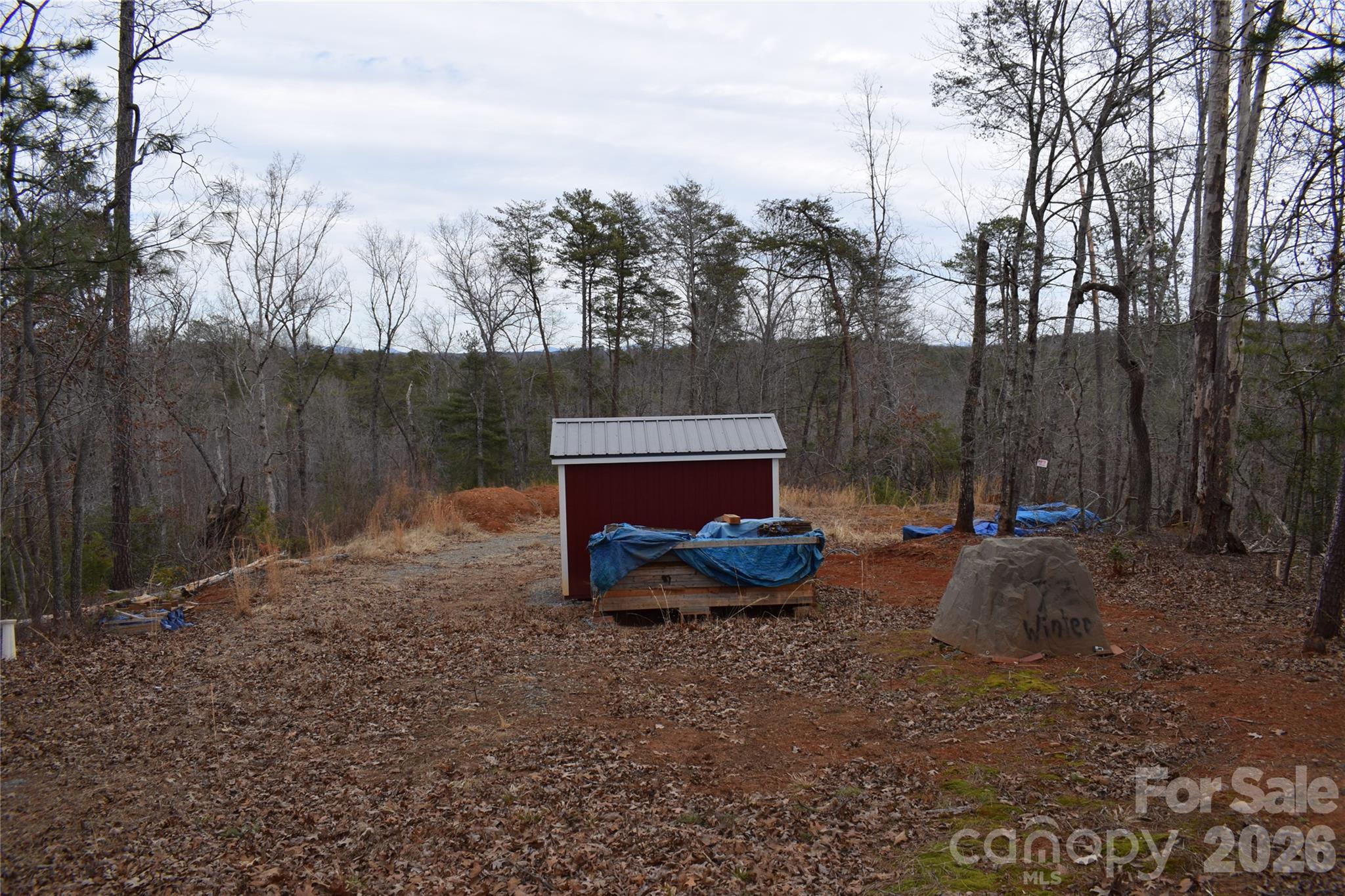 172 Winter Lane Mill Spring, NC 28756 - Photo 4 of 20 a view of a backyard with trees