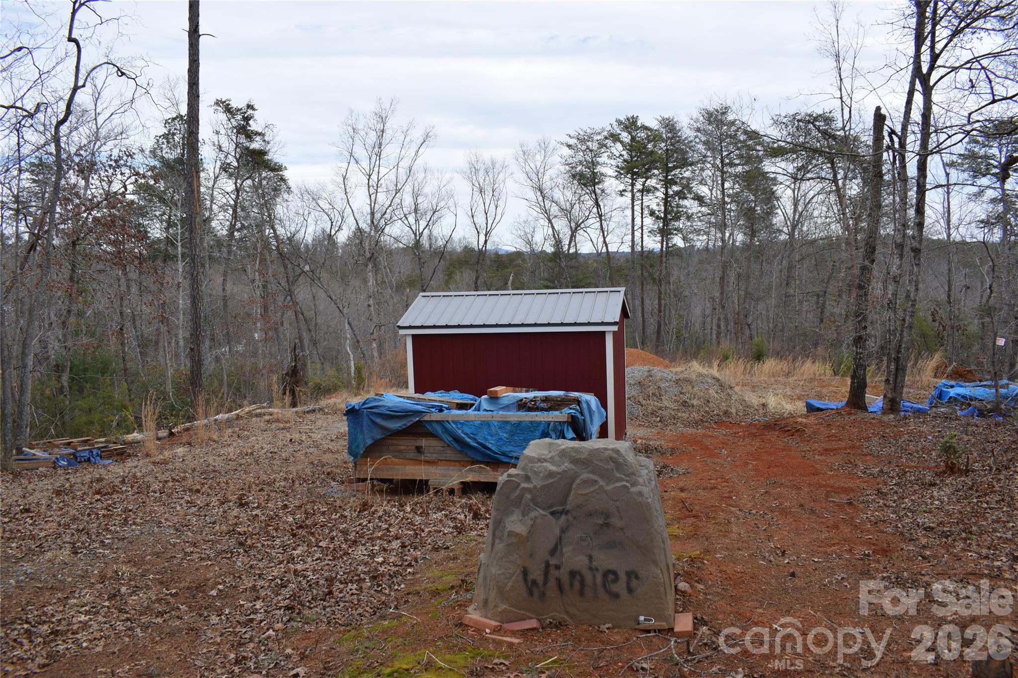 172 Winter Lane Mill Spring, NC 28756 - Photo 6 of 20 a view of a backyard with trees