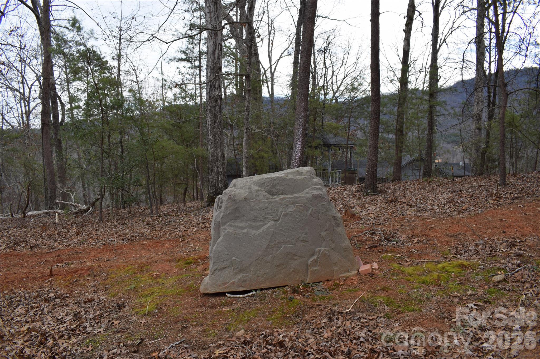 172 Winter Lane Mill Spring, NC 28756 - Photo 8 of 20 a view of outdoor space with trees