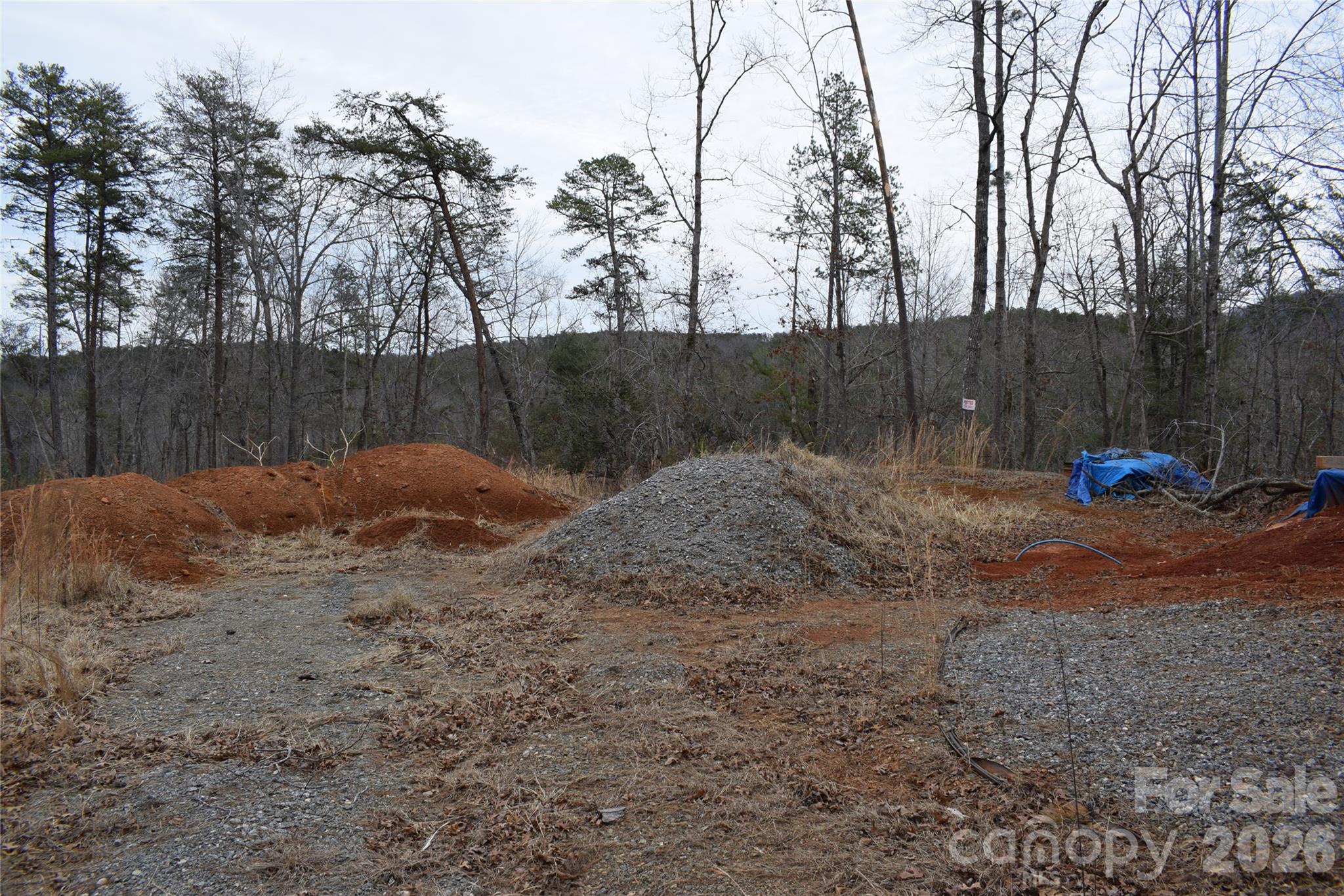 172 Winter Lane Mill Spring, NC 28756 - Photo 9 of 20 a backyard of a house with lots of green space