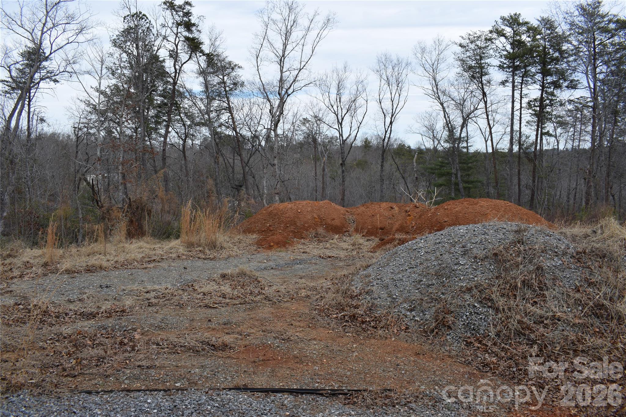 172 Winter Lane Mill Spring, NC 28756 - Photo 10 of 20 a backyard of a house with trees