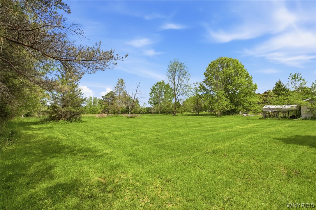 12318 Buckwheat Road Newstead, NY 14001 - Photo 39 of 49