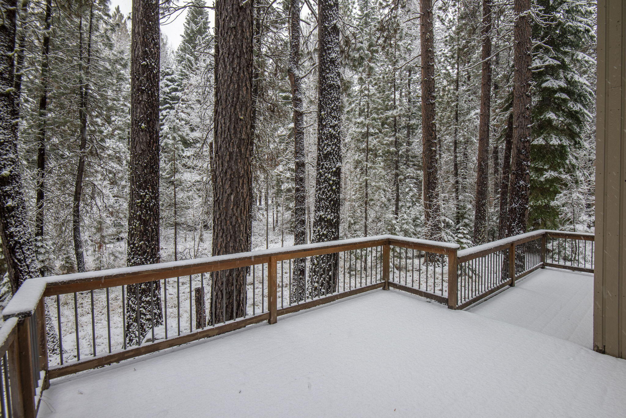 13545 Valerian Black Butte Ranch, OR 97759 - Photo 5 of 23 13545 Valerian