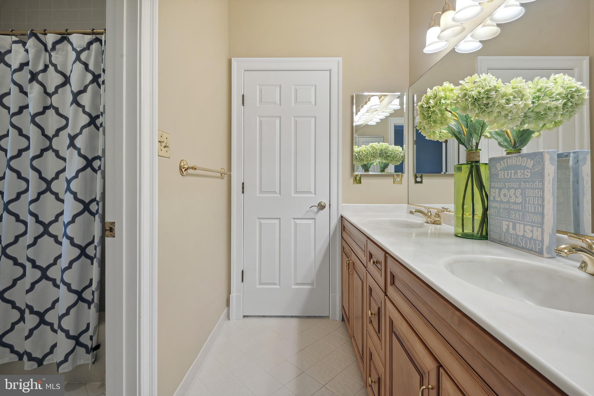 252 Springvale Road Great Falls, VA 22066 - Photo 67 of 80