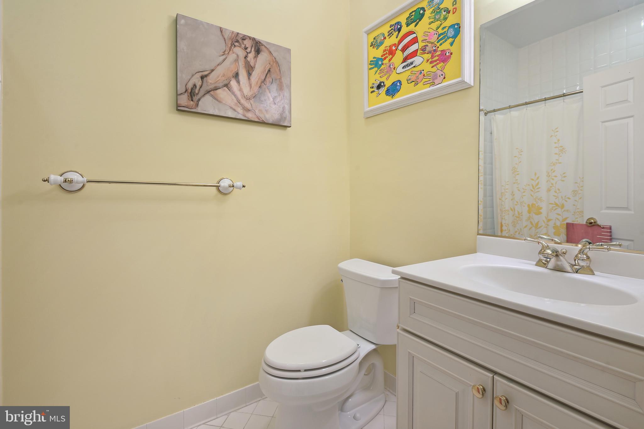 252 Springvale Road Great Falls, VA 22066 - Photo 68 of 80