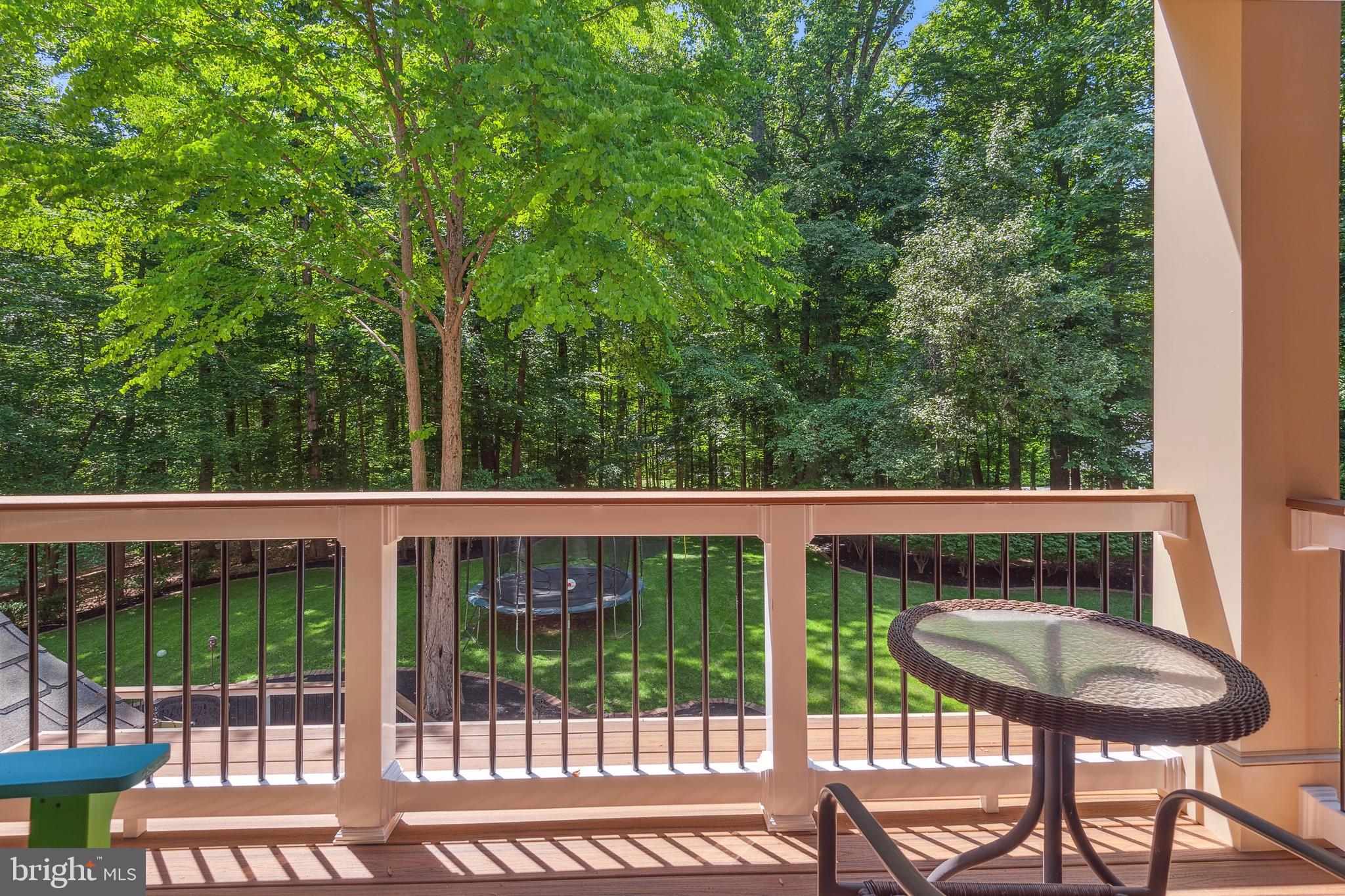 252 Springvale Road Great Falls, VA 22066 - Photo 69 of 80