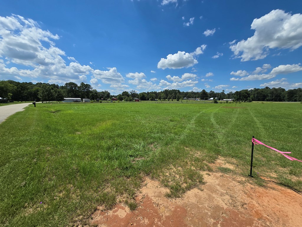 1.43-acres Sage Road Ashford, AL 36312 - Photo 4 of 9