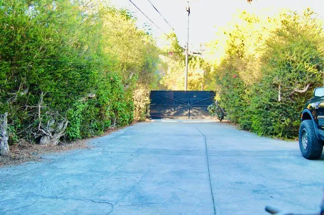 a view of a yard with plants and trees