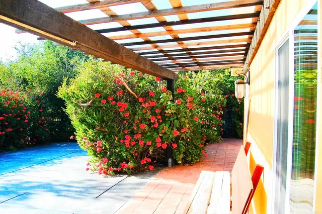 a bunch of flowers in a window