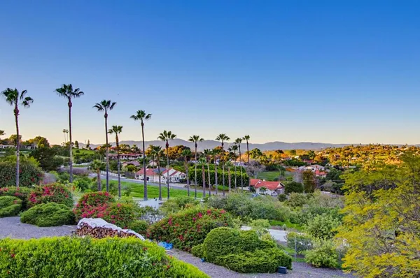 a view of a house with a yard and a large tree