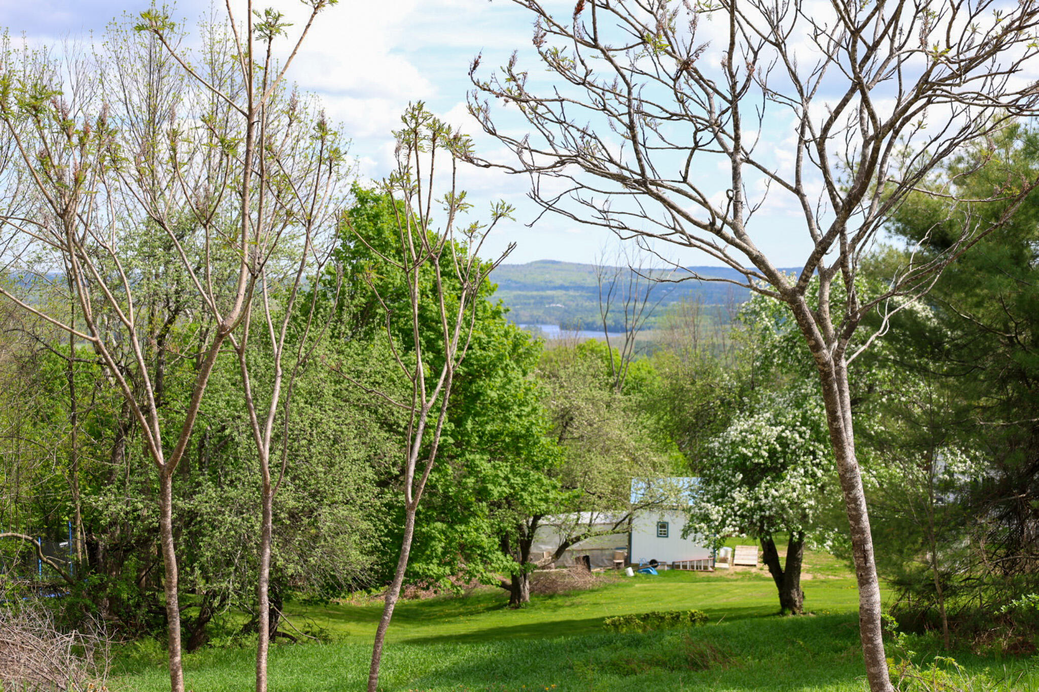 239 Temple Road Wilton, ME 04294 - Photo 22 of 120 20250516143606_J83A0432