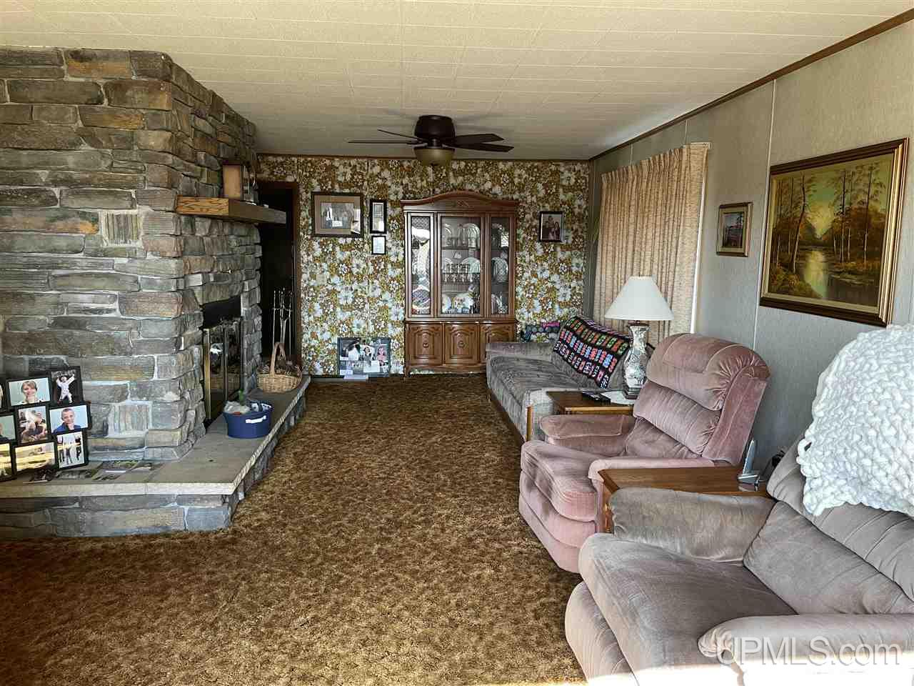 5393 North Rumley Road Skandia, MI 49885 - Photo 6 of 48