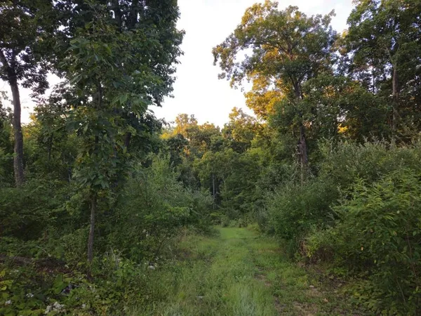 $1,595,000 | N6576 County Road N, Princeton, WI 54968