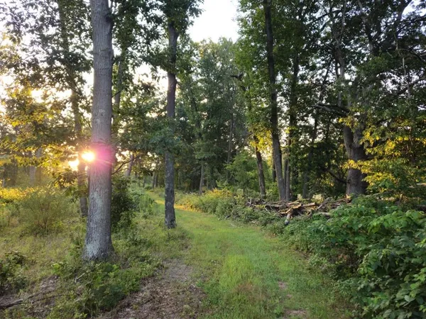 $1,595,000 | N6576 County Road N, Princeton, WI 54968