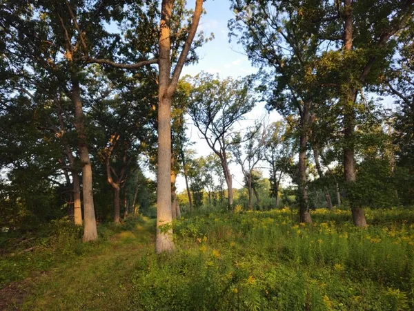 $1,595,000 | N6576 County Road N, Princeton, WI 54968