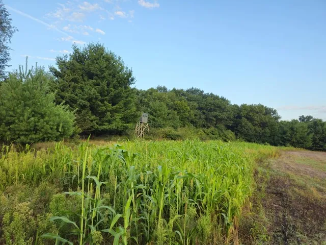 $1,595,000 | N6576 County Road, Princeton, WI 54968