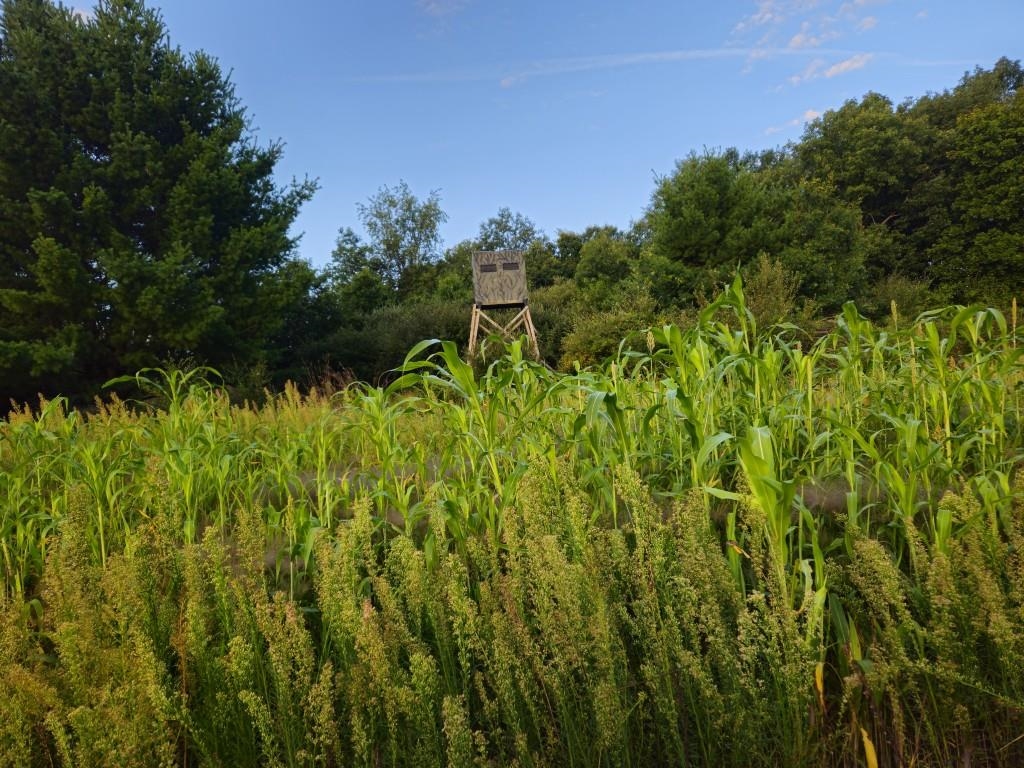 N6576 County Road Princeton, WI 54968 - Photo 43 of 84