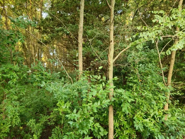 $1,595,000 | N6576 County Road, Princeton, WI 54968