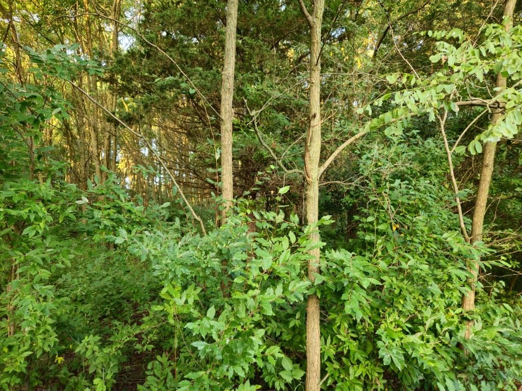 N6576 County Road Princeton, WI 54968 - Photo 53 of 84