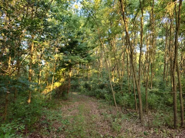 $1,595,000 | N6576 County Road, Princeton, WI 54968