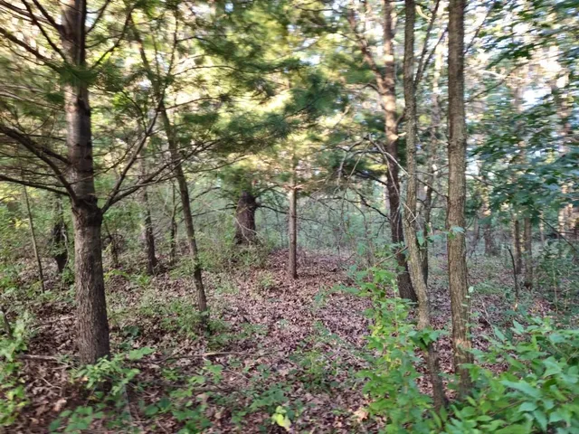 $1,595,000 | N6576 County Road, Princeton, WI 54968