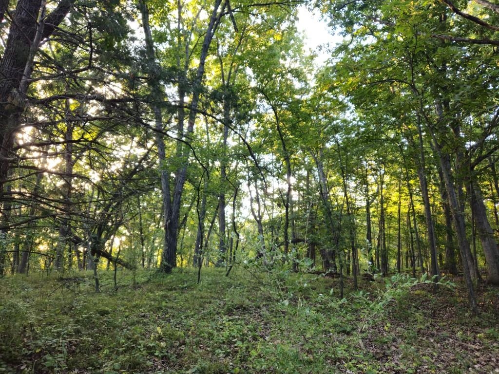 N6576 County Road Princeton, WI 54968 - Photo 57 of 84