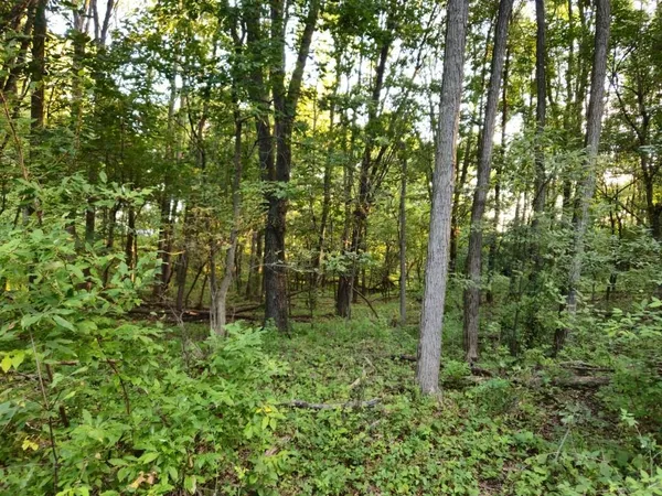 $1,595,000 | N6576 County Road N, Princeton, WI 54968