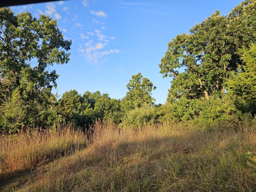 N6576 County Road Princeton, WI 54968 - Photo 64 of 84