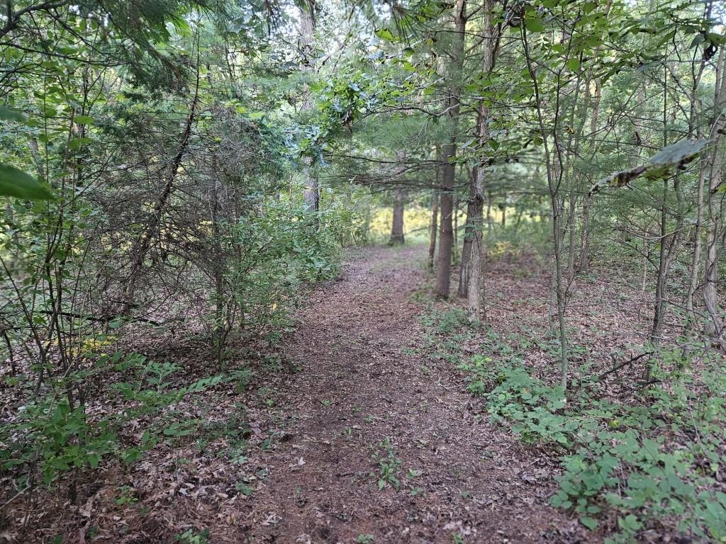 N6576 County Road Princeton, WI 54968 - Photo 67 of 84