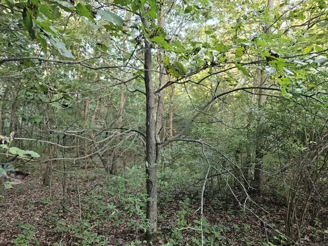 $1,595,000 | N6576 County Road, Princeton, WI 54968