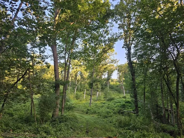 $1,595,000 | N6576 County Road, Princeton, WI 54968