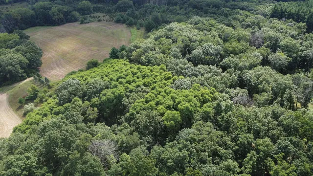 $1,595,000 | N6576 County Road, Princeton, WI 54968