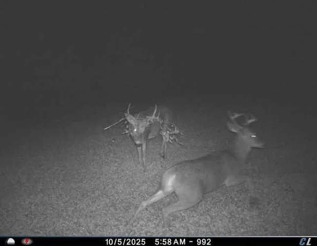 $1,595,000 | N6576 County Road, Princeton, WI 54968