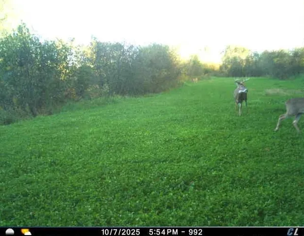 $1,595,000 | N6576 County Road, Princeton, WI 54968