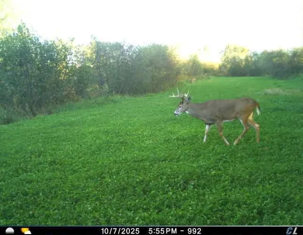 $1,595,000 | N6576 County Road, Princeton, WI 54968