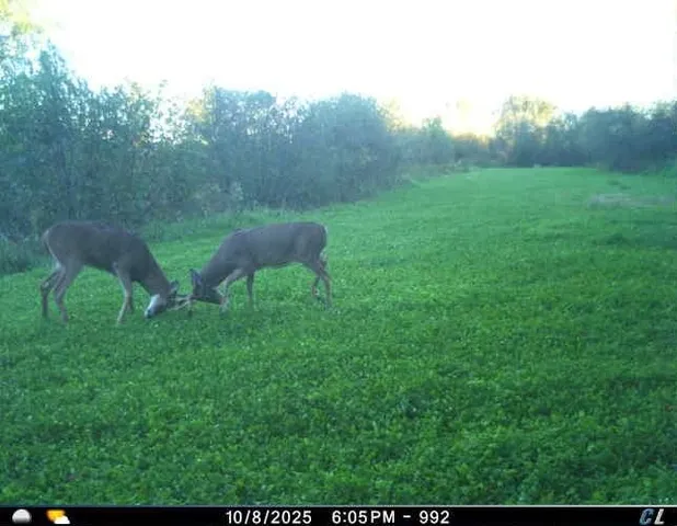 $1,595,000 | N6576 County Road, Princeton, WI 54968