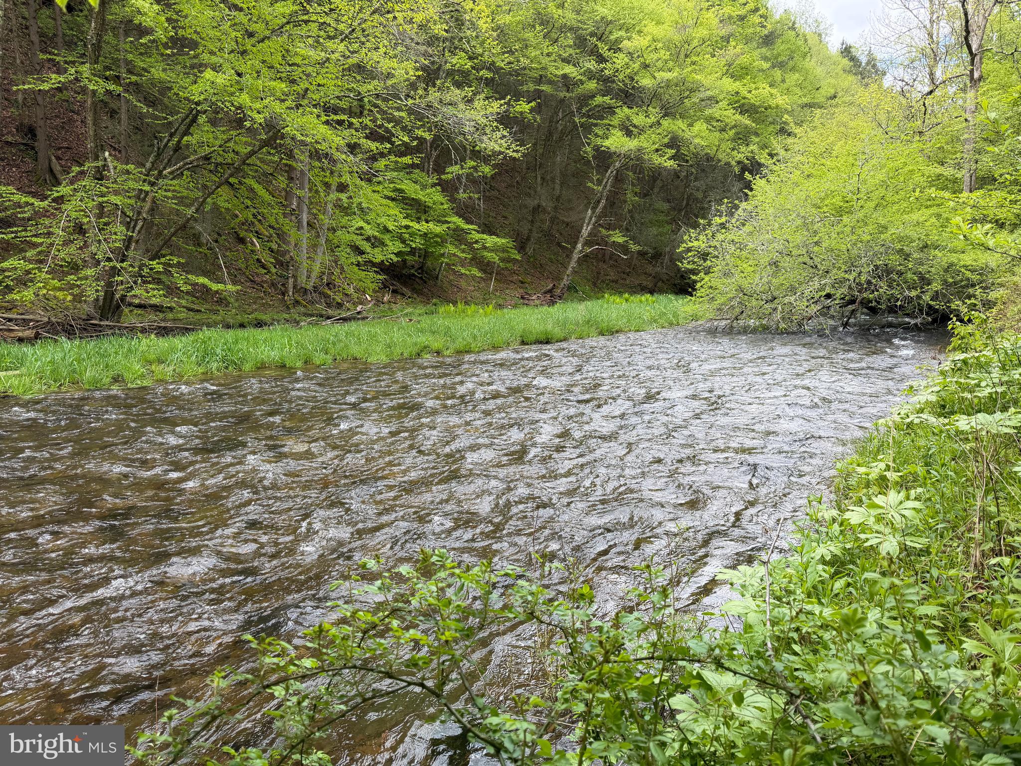 1227 Cross Fork Creek Road Cross Fork, PA 17729 - Photo 93 of 139