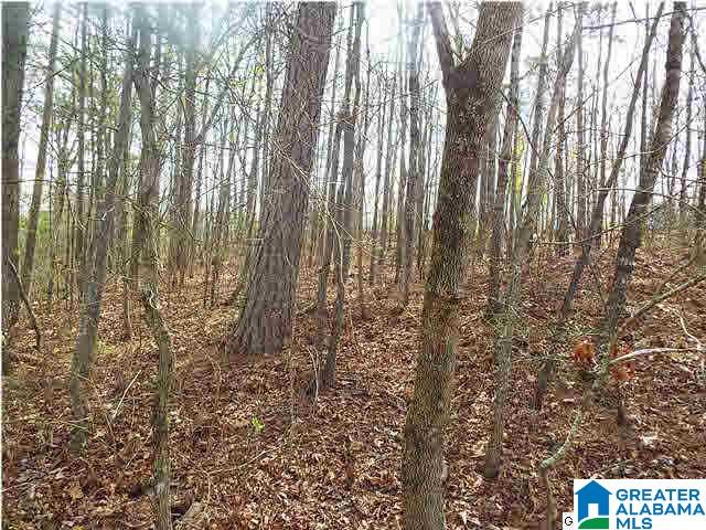 1 Ransome Drive, Unit 1 Oneonta, AL 35121 - Photo 5 of 6