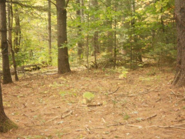 16 Carter Farm Road Searsport, ME 04974 - Photo 13 of 25 Photo